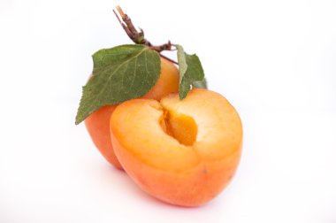 beyaz arkaplanda olgun kayısılar