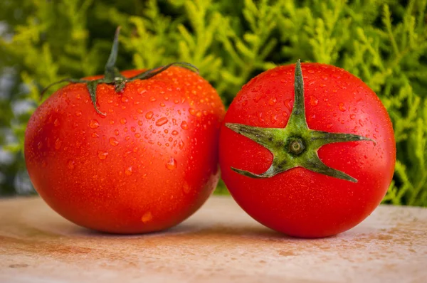 Bir ahşap tahta üzerinde ıslak domates — Stok fotoğraf