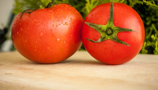 Bir ahşap tahta üzerinde ıslak domates — Stok fotoğraf