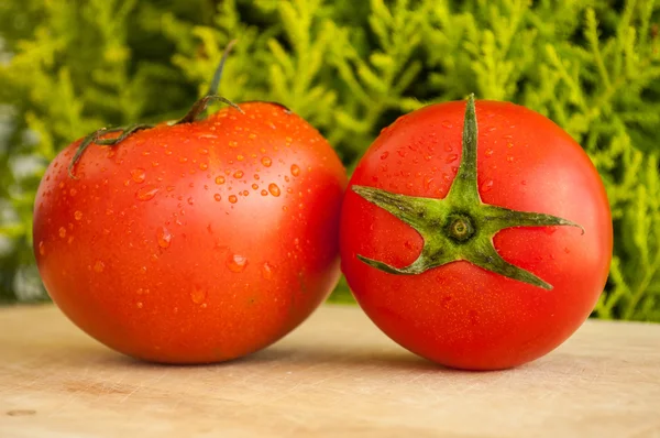 Tomates mojados en una tabla de madera — Foto de Stock