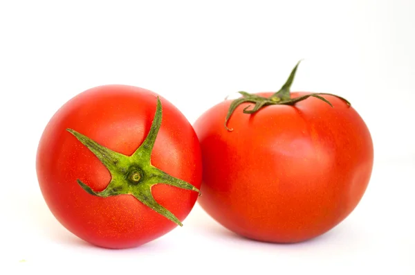 Beyaz domatesler — Stok fotoğraf