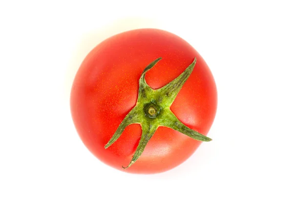 Beyaz domatesler — Stok fotoğraf