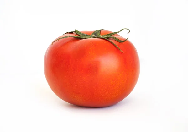 Tomaten geïsoleerd in wit — Stockfoto