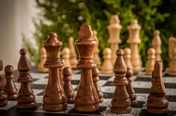 Chess game — Stock Photo, Image