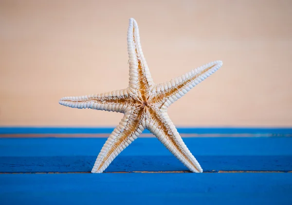 Seastar on blue wooden background — Stock Photo, Image