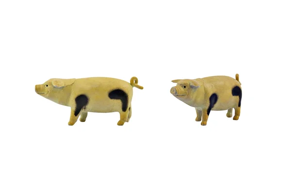 Isoliertes Schweinespielzeug — Stockfoto