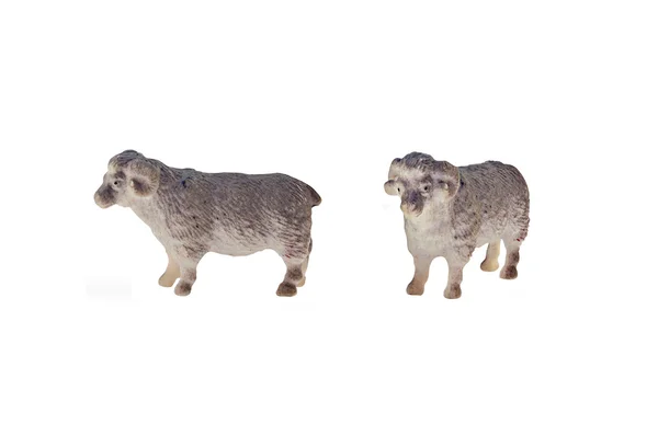 Isolated sheep toy — Stock Photo, Image