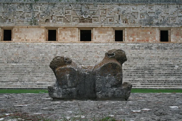 Uxmal Maya ruínas — Fotografia de Stock