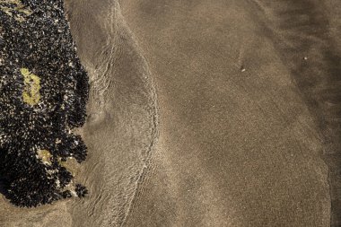 Sahilde küçük bir gölet   