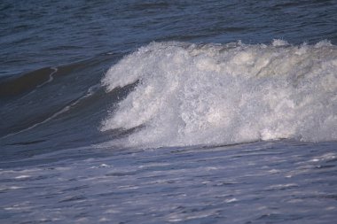 Arjantin 'de sahile yakın dalgalar