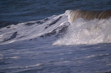 Sahilde dalgalar kopuyor.
