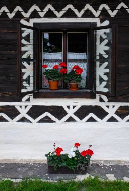 Pencerede çiçekler