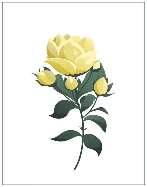 Желтые Летние Розы Поздравительной Открытки — стоковый вектор