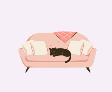 Siyah kedi pembe bir kanepede uyuyor.