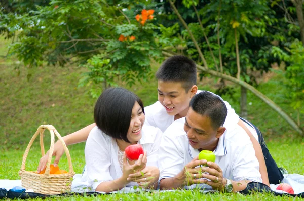 Asiatisk kinesisk familj — Stockfoto