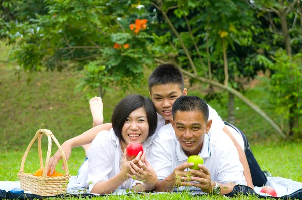 Asian Chinese Family — Stock Photo, Image
