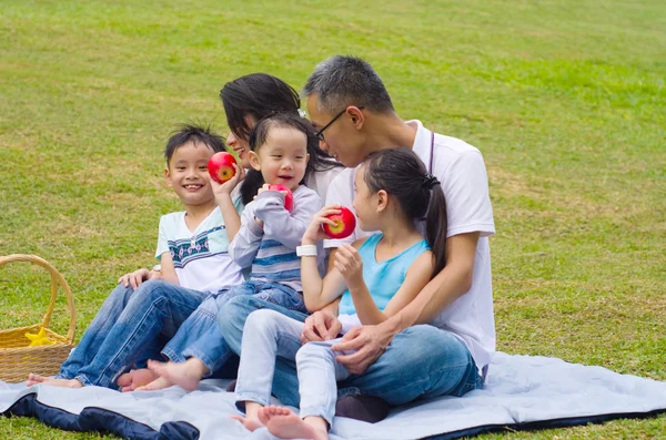 Underbara asiatiska familj — Stockfoto