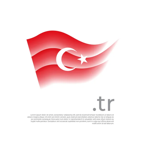 Turkey Flag Colored Stripes Turkish Flag White Background Vector Stylized — Image vectorielle