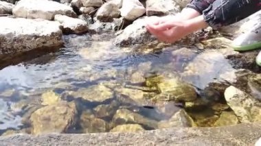 (Balık), palmiyelerden suya atılır.