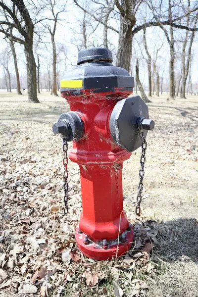 Roter Feuerhydrant Verstopft Den Park Bäume Hintergrund — Stockfoto