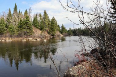 Sakin, dar nehir yüksek kıyılar arasında akıyor, ormanla kaplanmış.