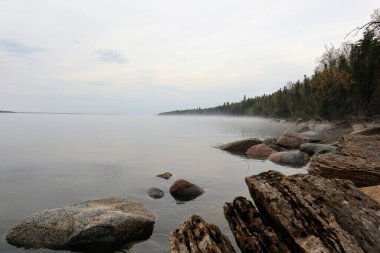 Sabah güneşi, liken ile kaplanmış ender ağaçların arasından parlıyor.