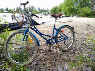 Gölün kıyısında koyu mavi bir kadın bisikleti duruyor..