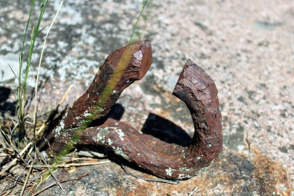 Detailní Záběr Rezavého Rezavého Ohnutého Kroužku Řezaného Kusu Výztuže Zasunutého — Stock fotografie