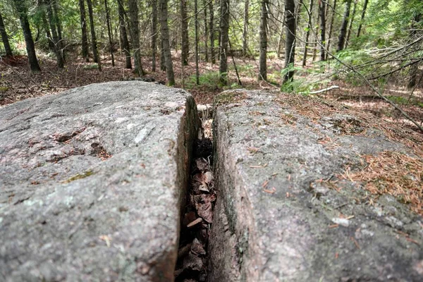 Close Wide Deep Crack Large Boulder Lies Forest Brokenhead Wetland —  Fotos de Stock