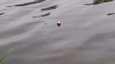 Dalgalarda sallanan kırmızı ve beyaz bir balıkçı teknesinin yavaş çekim görüntüleri..