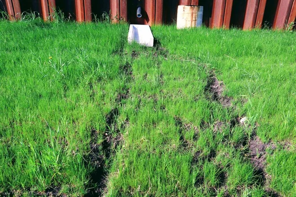 Çimenlerdeki su akıntılarının izleri. Arka planda bir boşaltma borusu