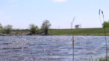 Yavaş çekim. Rüzgarda sallanan kuru otların yakın çekimi. Suyun üzerinde güneşin parlaklığı. Yeşil çimenler, arka planda yürüyen bir adamın silueti.