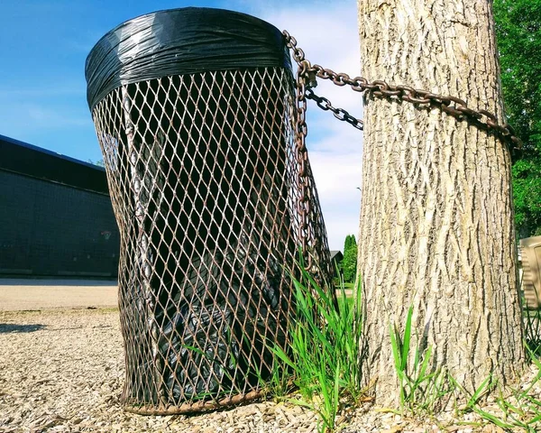 Detailní Záběr Kovový Odpadkový Koš Přivázaný Řetězem Kmeni Stromu — Stock fotografie