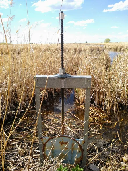 Kleine Hydraulische Anlagen Trockenes Gras Und Ein Teich Hintergrund — Stockfoto