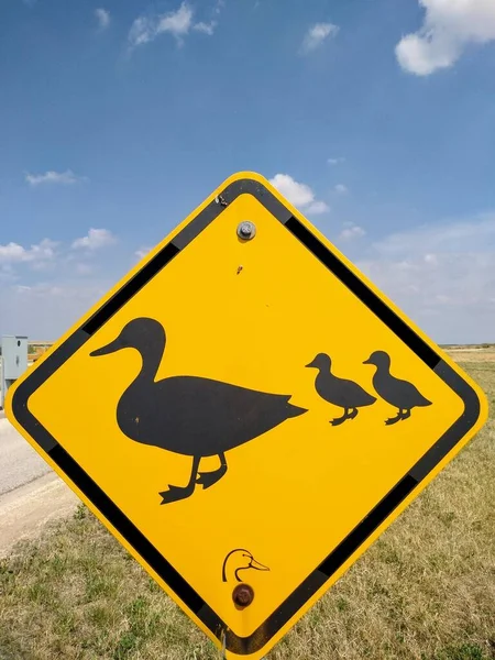 Close Road Sign Ducks Geese Crossing Black Symbols Yellow Background — Φωτογραφία Αρχείου