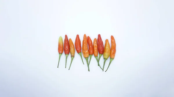 Cayennepfeffer Capsicum Frutescens Ist Eine Frucht Und Pflanze Der Gattung — Stockfoto