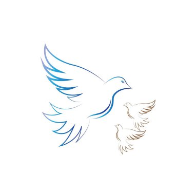 Dove Logo Şablonu vektör çizimi