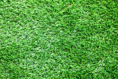 Yeşil Çimen Arkaplanı