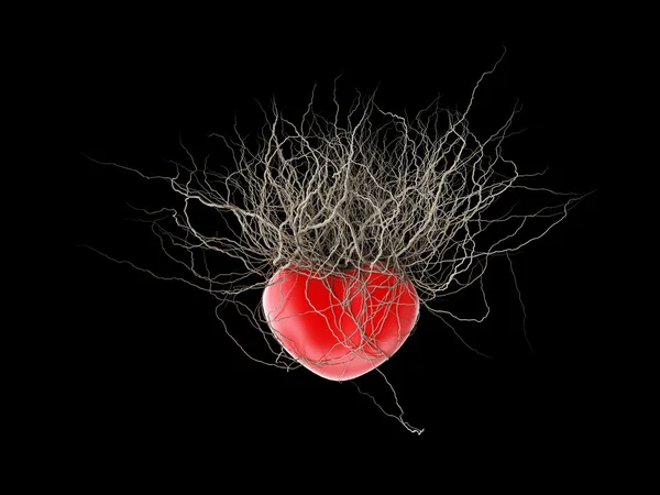 Siyah bir arka plan kırmızı bir kalp Brown'ın kökleri büyümüştür. — Stok fotoğraf