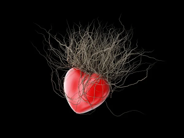 Las raíces de Brown crecieron de un corazón rojo, en un fondo negro . —  Fotos de Stock