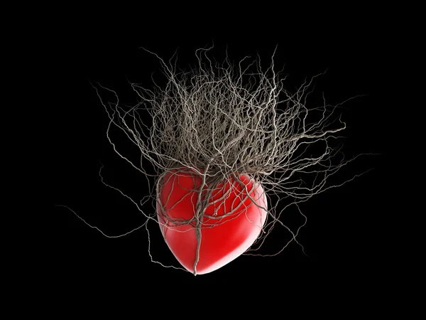 Las raíces de Brown crecieron de un corazón rojo, en un fondo negro . —  Fotos de Stock