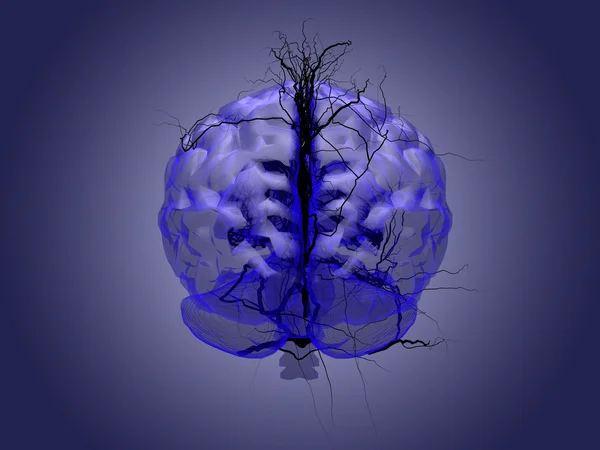 Concepto de raíz cerebral de una raíz que crece en forma de sostén humano — Foto de Stock