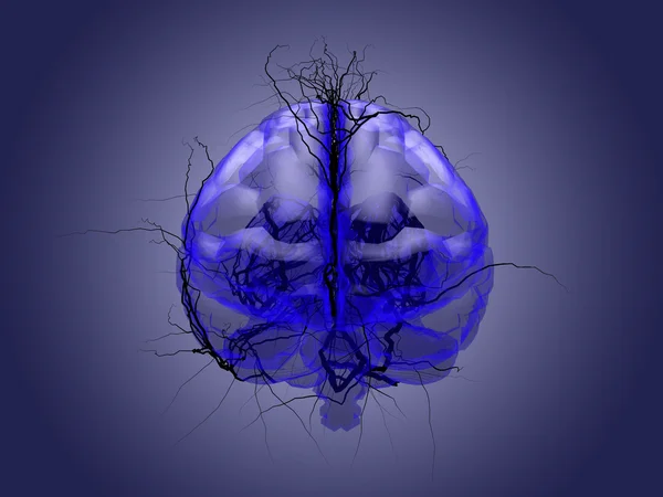 Concepto de raíz cerebral de una raíz que crece en forma de sostén humano — Foto de Stock