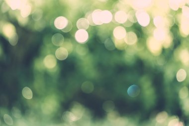 soyut doğal görüntü arka plan, ufuk yaprakları, bokeh