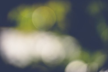 soyut doğal görüntü arka plan, ufuk yaprakları, bokeh