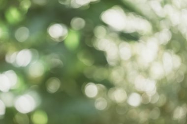 soyut doğal görüntü arka plan, ufuk yaprakları, bokeh