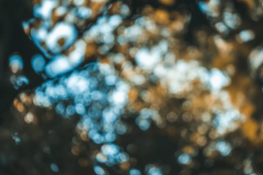 soyut doğal görüntü arka plan, ufuk yaprakları, bokeh