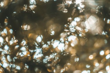 soyut doğal görüntü arka plan, ufuk yaprakları, bokeh