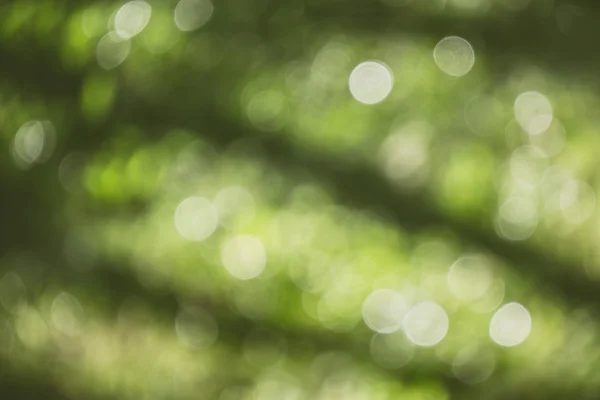 Stock image abstract natural blur background, defocused leaves, bokeh