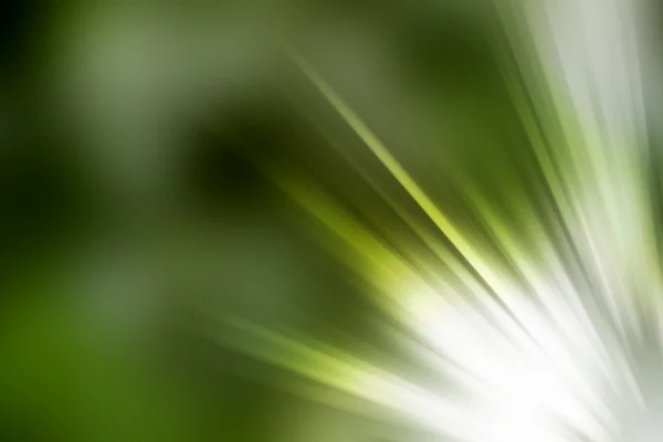 Abstract natural blur background,  Asymmetric light rays — Stock Photo, Image